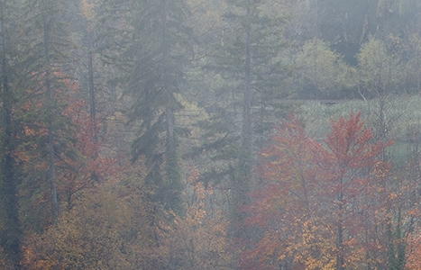 粉象生活加油文案