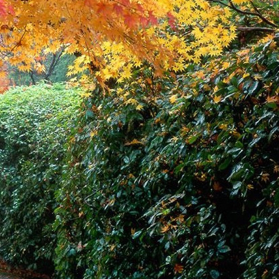 粉象生活官方邀请码哪一个是真的