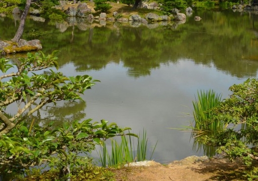 湖南加盟粉象生活软件