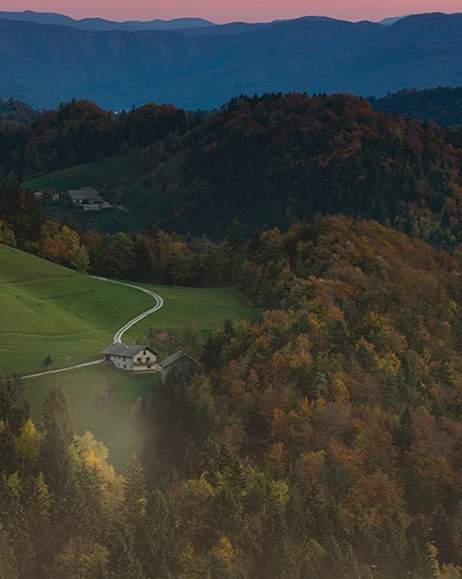 粉象里面打卡赚钱是真的吗