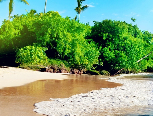 粉象生活怎么赚钱的