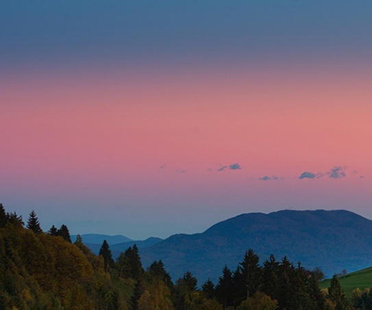粉象生活平台的盈利模式