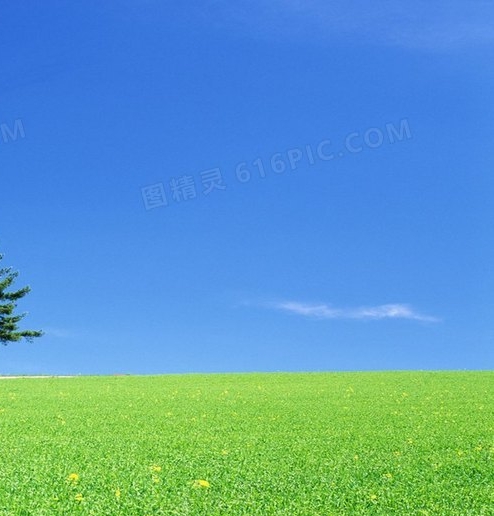 粉象生活怎么用淘宝