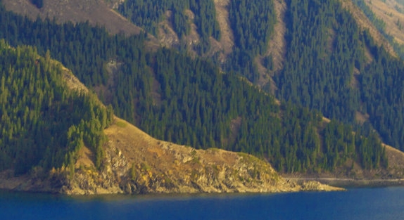 粉象生活如何开通店铺