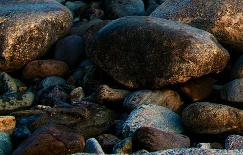 粉象生活需要推广多长时间