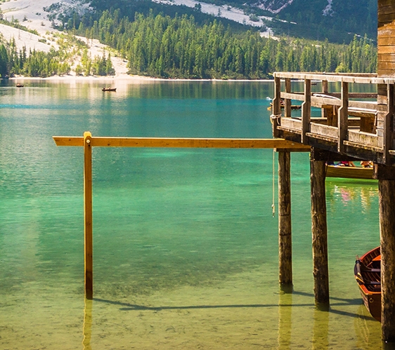 纠结用花生还是粉象