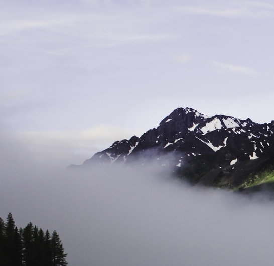 粉象生活0元购成功图片