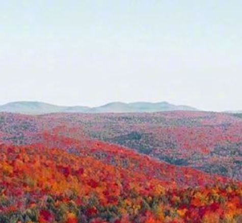 粉象生活为啥有优惠券