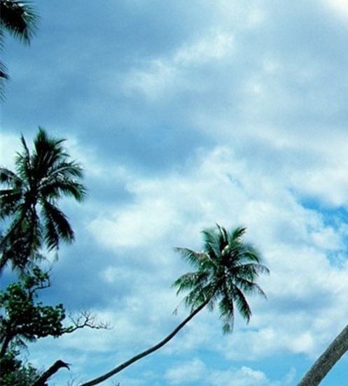 众象直贷可靠吗