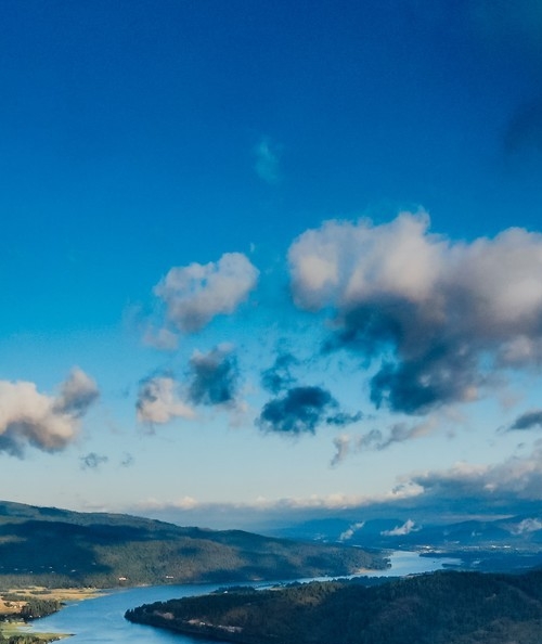 湖北口碑粉象生活赚钱么