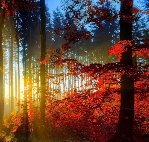 粉象生活交钱太坑人