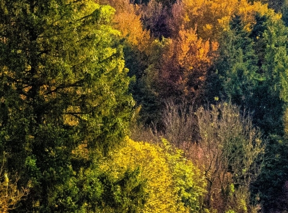 粉象生活广场招工