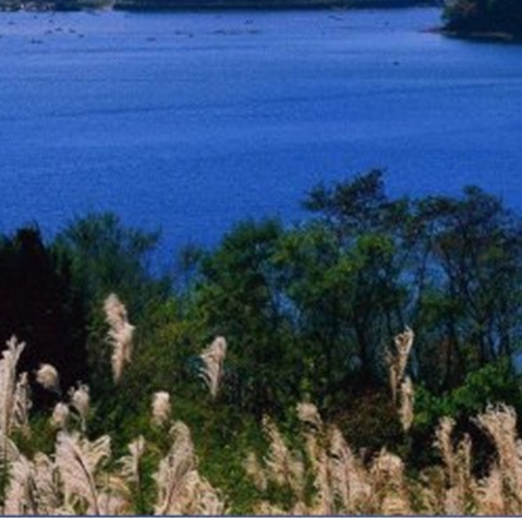 粉象生活怎么赚钱