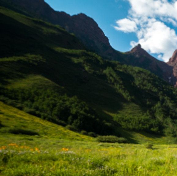 口碑粉象生活推广