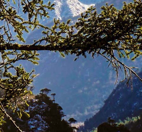 粉象生活如何在淘宝上开店