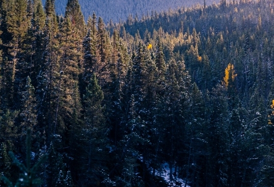 粉象生活需要运营商吗