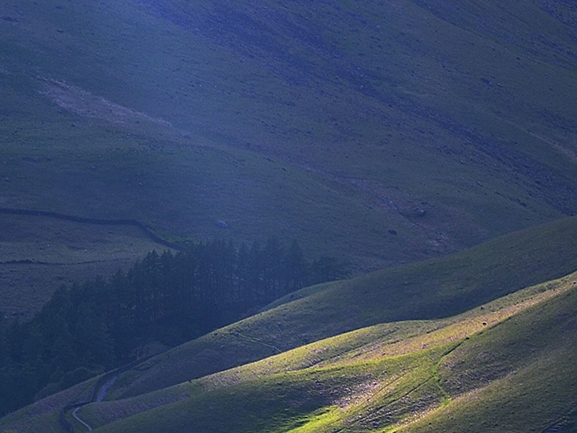 粉象生活可以赚钱吗