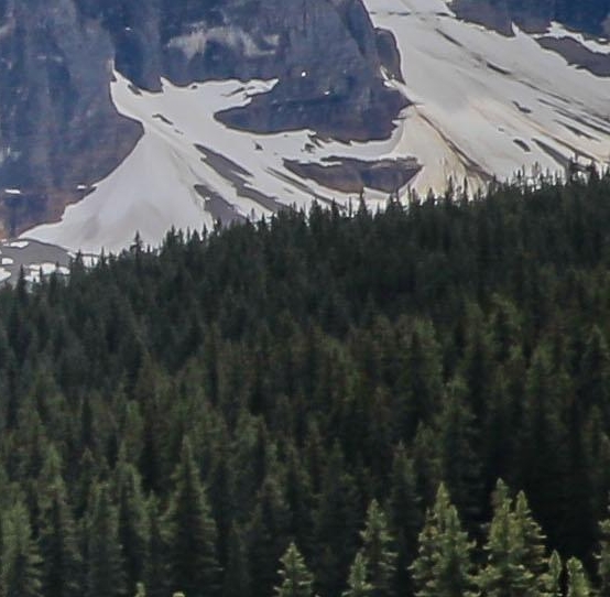 粉象生活可以赚钱吗