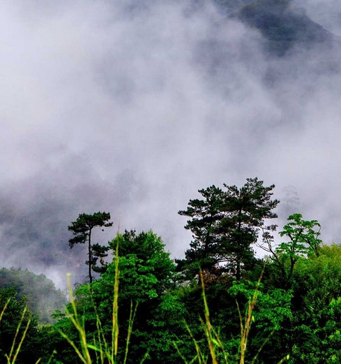 粉象生活如何赚钱