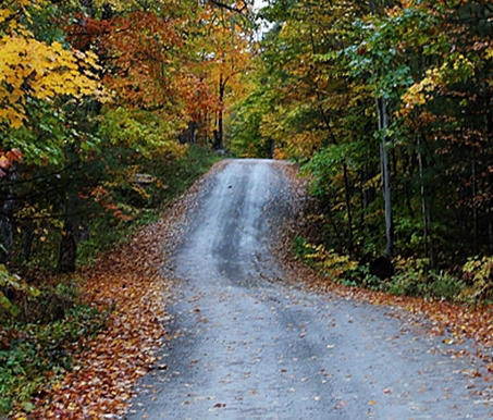 粉象生活一天几百是真是假