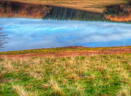 粉象生活直播需要有粉丝吗