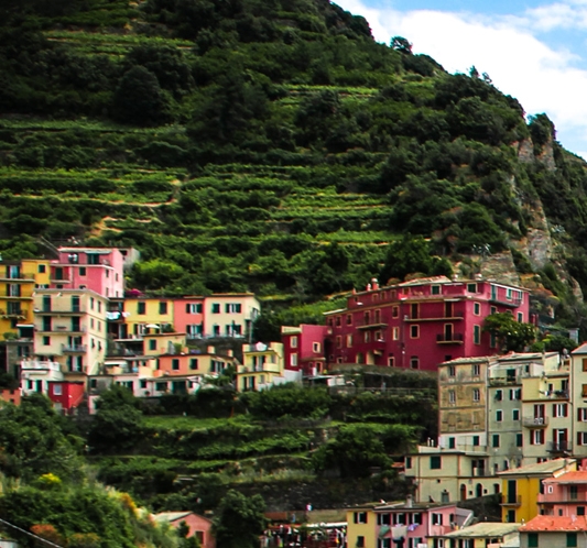 菏泽粉象生活总代理总部