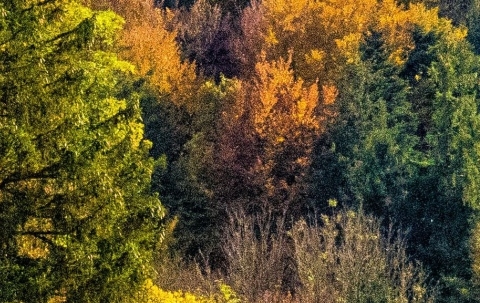 粉象生活不交钱能用吗