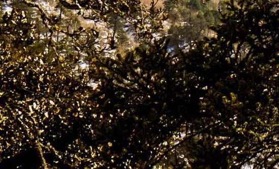 粉象生活app下载安装