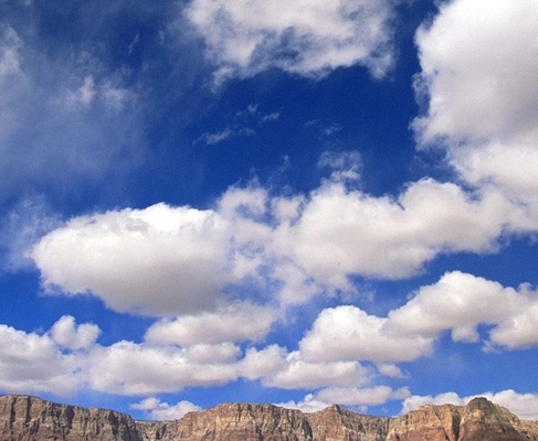 粉象生活怎么快速推广