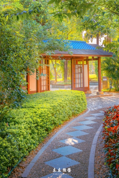 粉象生活下载app