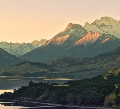 粉象生活推广收益