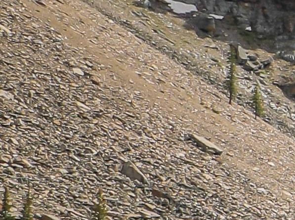 粉象生活任务页面