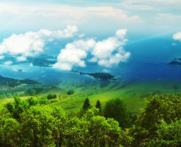 粉象生活解析视频粉象生活