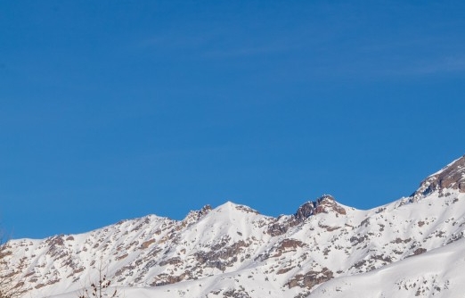 粉象生活的流量是怎么来的