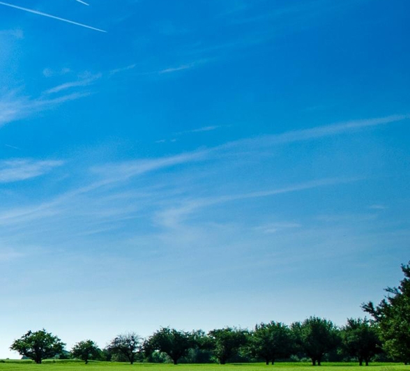 粉象生活分享红包如何提现
