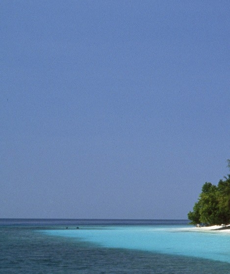 粉象生活官网首页