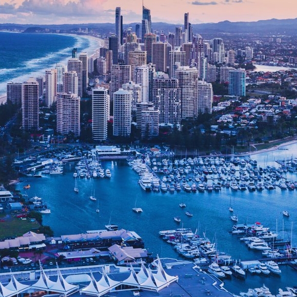 吉林葵花盘粉怎么购买