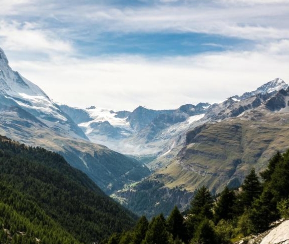 粉象生活真实收入
