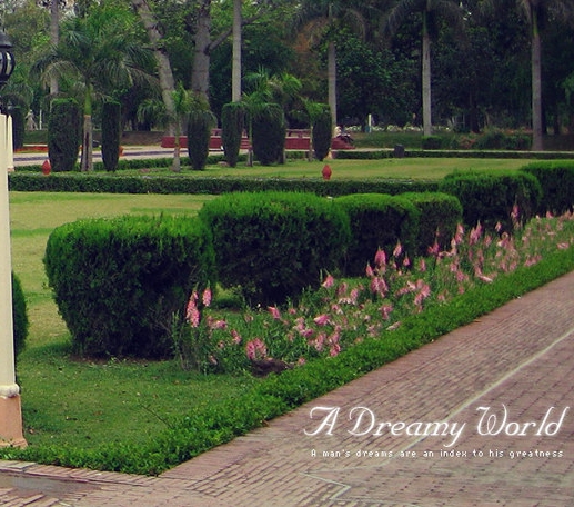 粉象生活需要升级会员吗