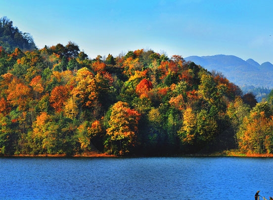 神奇的粉象生活