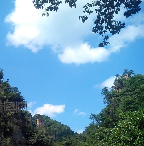 粉象生活怎么操作