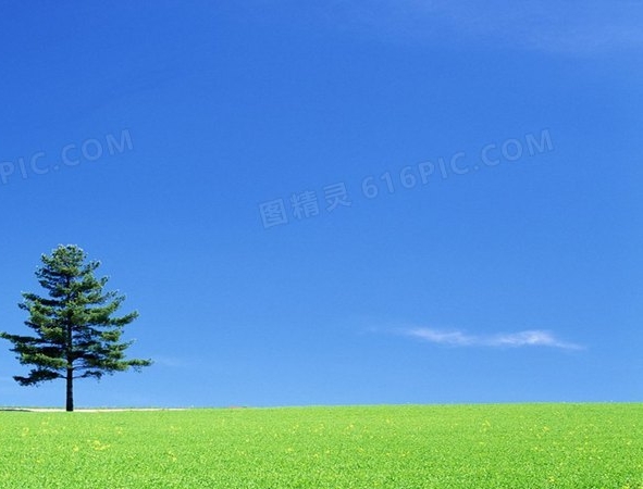 河南招聘网官网