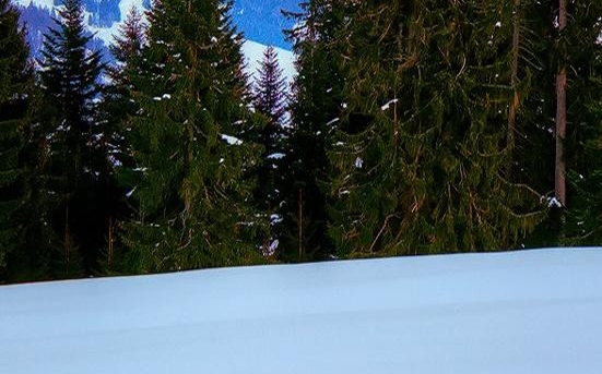 粉象生活赚钱教程