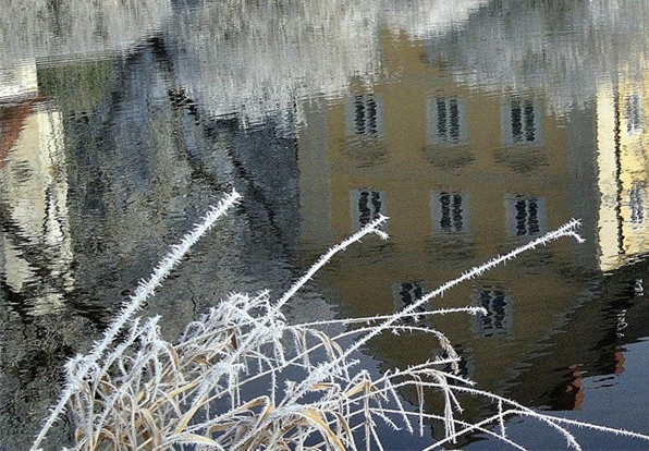 粉象生活正规合法吗