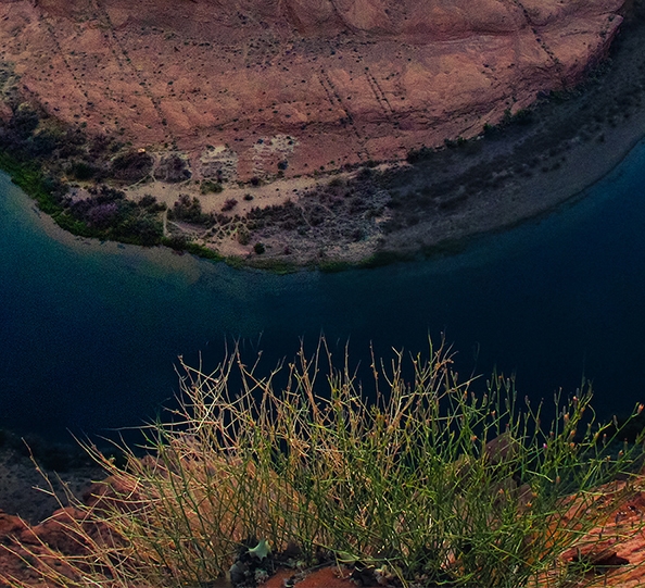 粉象生活如何赚钱