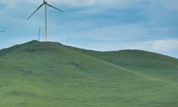 粉象生活自动抢单软件