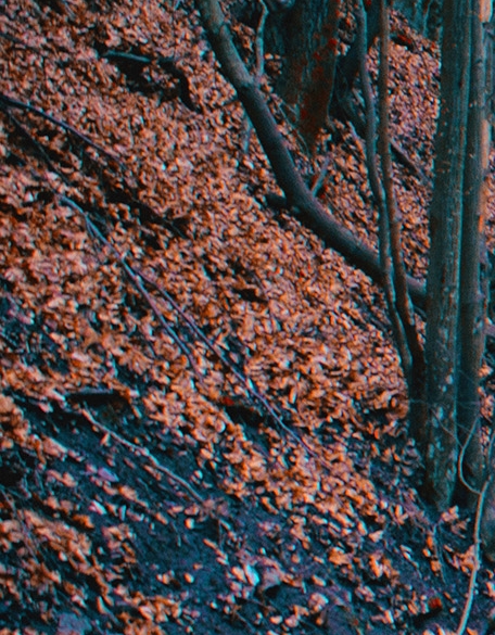 粉象生活分现金页面在哪里