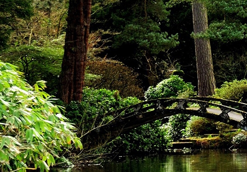 粉象生活是什么?