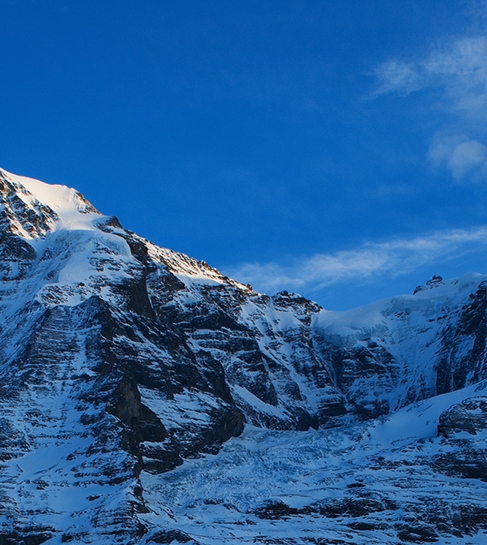 粉象生活打卡赚钱奖池