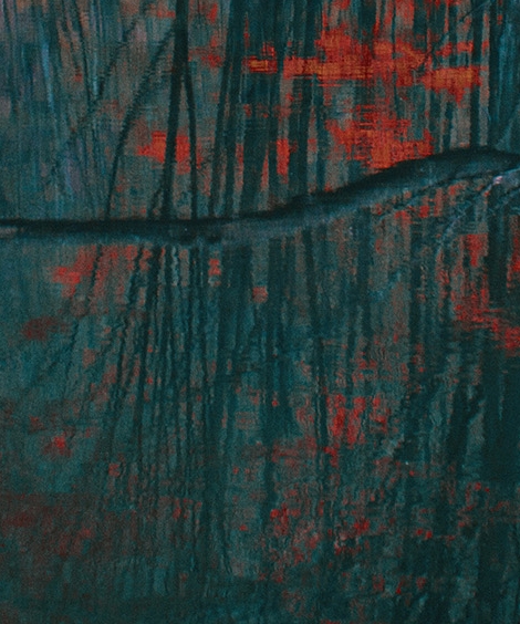 粉象生活升级太难